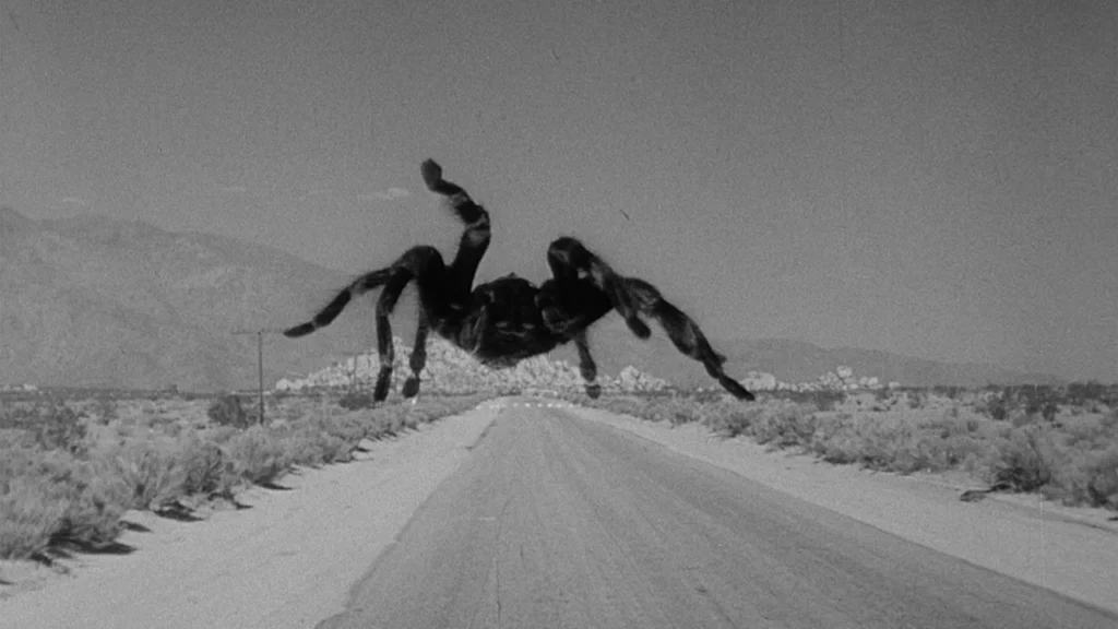 Tarantula (1955)